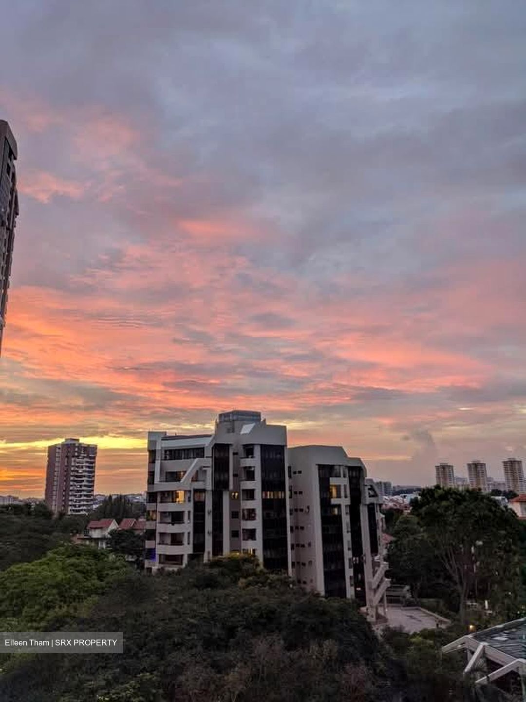 Bayshore Park (D16), Condominium #598194491